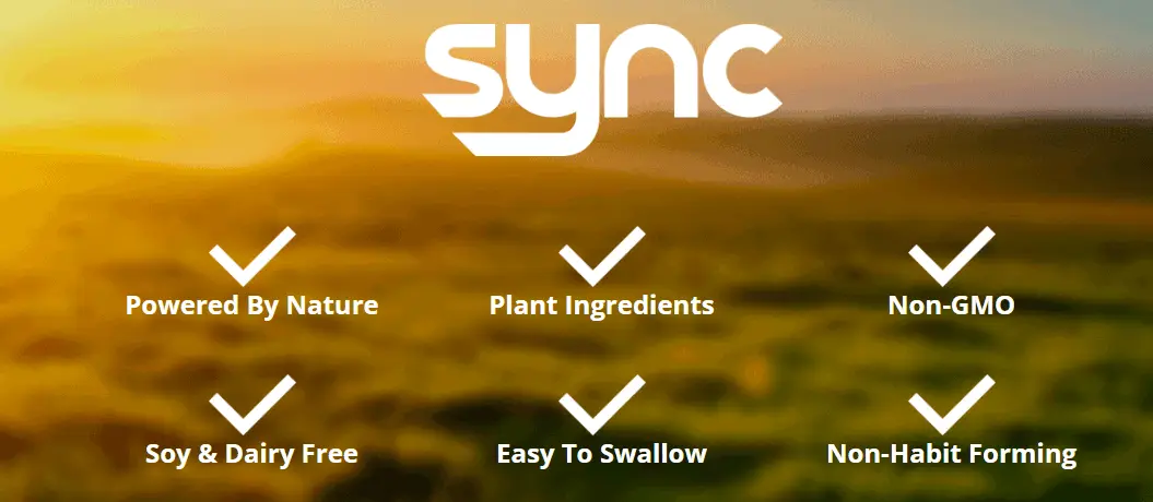 Sync supplement - made - in - U.S.A - image 